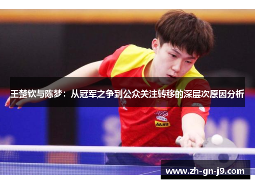王楚钦与陈梦：从冠军之争到公众关注转移的深层次原因分析